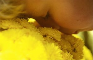 A child presses their nose into yellow chrysanthemum blooms.